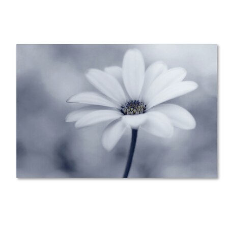 Trademark Fine Art Lotte Gronkjær 'Blue Tones' Canvas Art, 30x47 1X00332-C3047GG